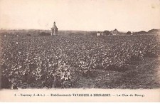 37 - VOUVRAY - SAN58415 -