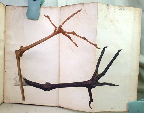 Livre ancien 1805 - livre,