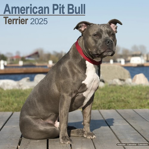 Calendrier 2025 american - calendrier,