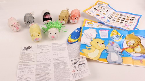 Zhu pets hamsters lot - zhu, of