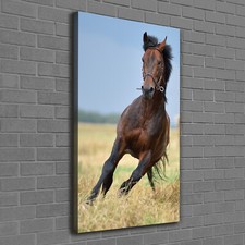 Tulup Tableau Sur Toile Image Imprimé 60x120 - Cheval sur le terrain