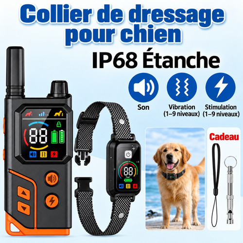 Collier dressage chien - collier,
