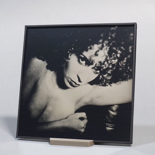 Original nude ambrotype - original,