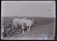 Vie Travaux agricoles Labourer
