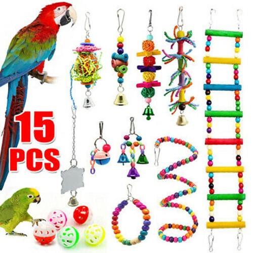 Perroquet toy kit - kit, pet