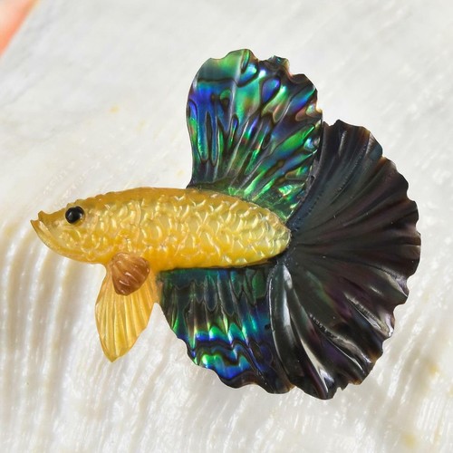 Siamois combattant poisson - siamois,
