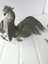 Coq combat - coq, de