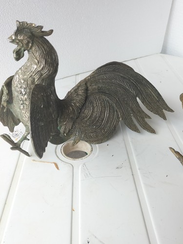 Coq combat - de,