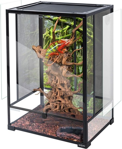 Reptile tall glass - reptile, terrarium