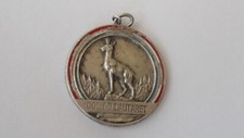 MEDAILLE SKI CHAMOIS  DANS SON JUS   COL DU LAUTARET