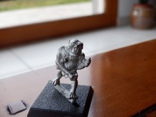 Warhammer sauvage orc avec - warhammer,