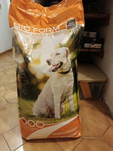 Croquettes chien adulte - croquettes,