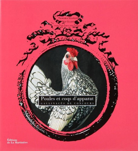 Poules coqs apparat - et,