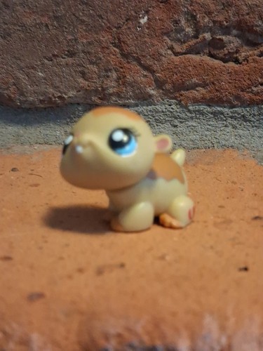Hamster 1198 authentic - #1198,