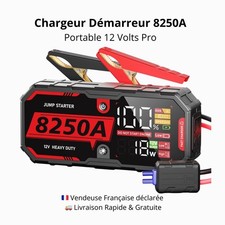 Booster Batterie Voiture 8250A
