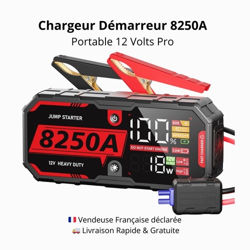 Booster batterie voiture 8250a - batterie,