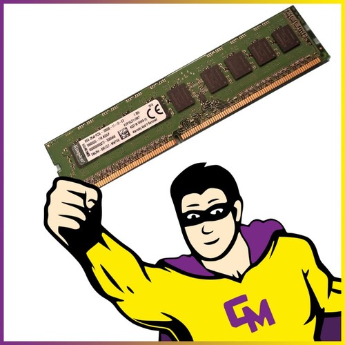 8go ram serveur - 8go,