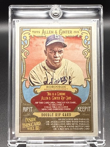 Jackie robinson sandy - jackie,