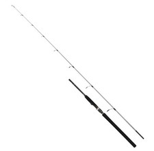 Shimano speedmaster jigging - speedmaster, r