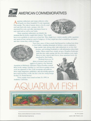 3317 3320 aquarium - #, fish