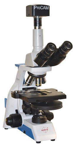 Microscope contraste de - microscope,