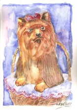 Le Yorkshire - Veritable aquarelle originale de Bernard Le Beguec - Chien 