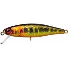LEURRE ILLEX TINY FRY 50 SP HL GOLD TROUT Alciumpeche