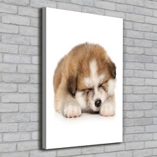 Tulup Tableau Sur Toile Image Imprimé 70x100 - Chiot Akita