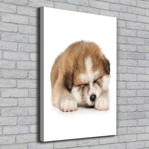 Tulup tableau sur toile - tulup, image