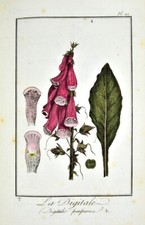 J.C. Philibert : EXERCICES DE