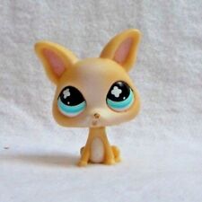 LITTLEST PETSHOP LPS #837 HASBRO DOG CHIEN CHIHUAHUA BEIGE BLANC YEUX BLEU CROIX