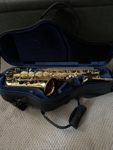 Saxophone alto - saxophone,