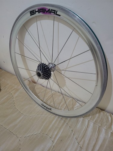 Campagnolo shamal rear - campagnolo, 26"