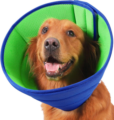 Collerette chien - collerette,
