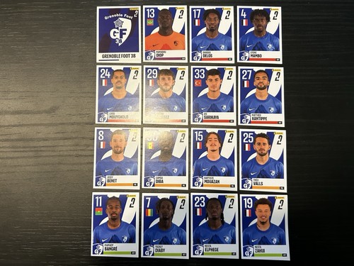 Grenoble foot 16 - 38,