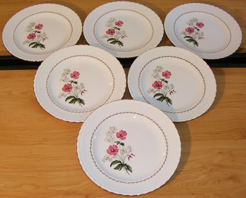 Assiettes plates faïence - 6,