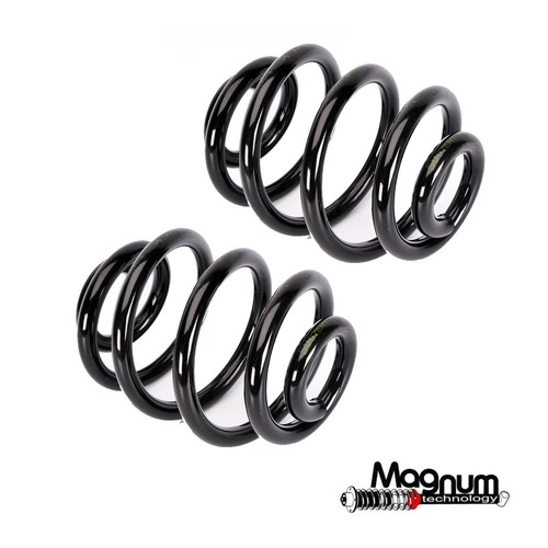 Coil spring rear - 2, vw