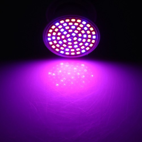 Ampoule hydroponique lampe - hydroponique, de