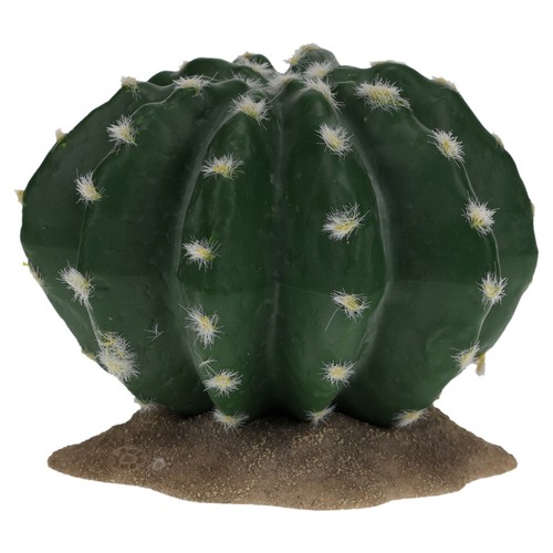 Terre décoration cactus - de,