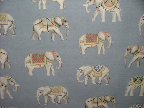 Jaipur indien éléphant - Éléphant, bleu