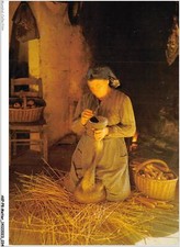 AKPP8-0624-METIER -  EN PERIGORD - GAVEUSE D'OIE