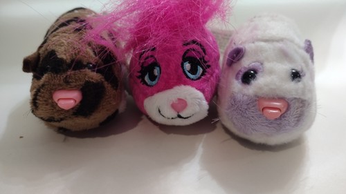 Lot zhu pets pink - of,