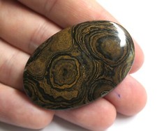 STROMATOLITE 100% NATUREL GARANTI - 65.94 ct garantie par gemmologue diplômé