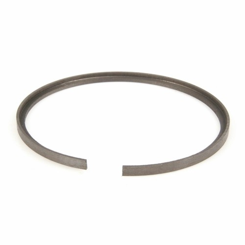 Ceinture polini élastique - ceinture,