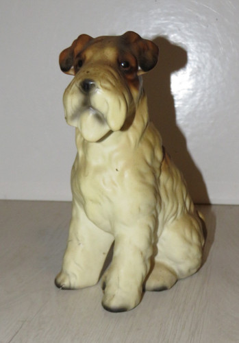 Chien barbotines race - chien,