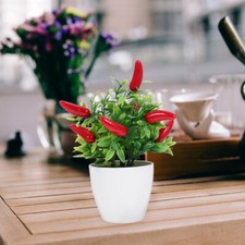  2 Pcs Arbre De Bonsaï