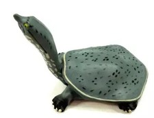 jouet mini figurine 050 tortue à carapace souple "oeuf chocolat animal japonais
