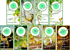 étiquettes de vin.Etiquettes goulot bouteille.Champagne.Cave à vin.Bouteille vin