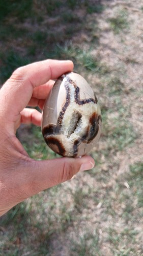Septaria forme oeuf pierre - septaria,