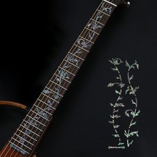 Guitare Électrique Manche de